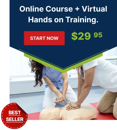 Online Course + Virtual Hands on Training