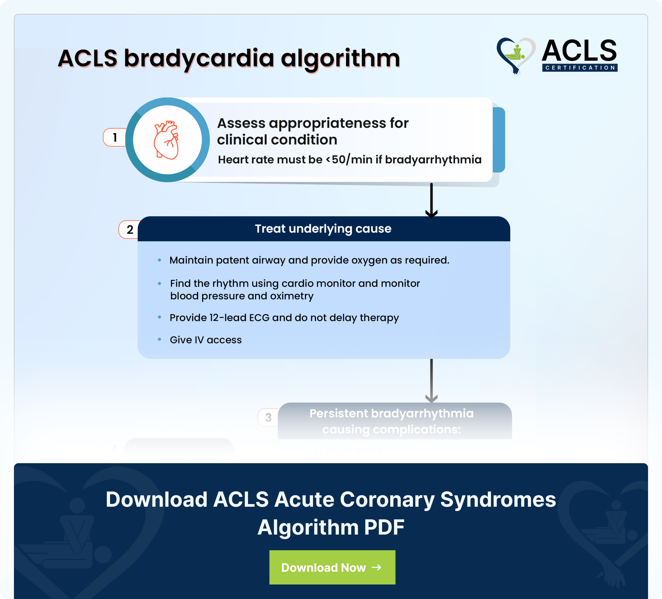 ACLS subalgo bradycardia algorithm