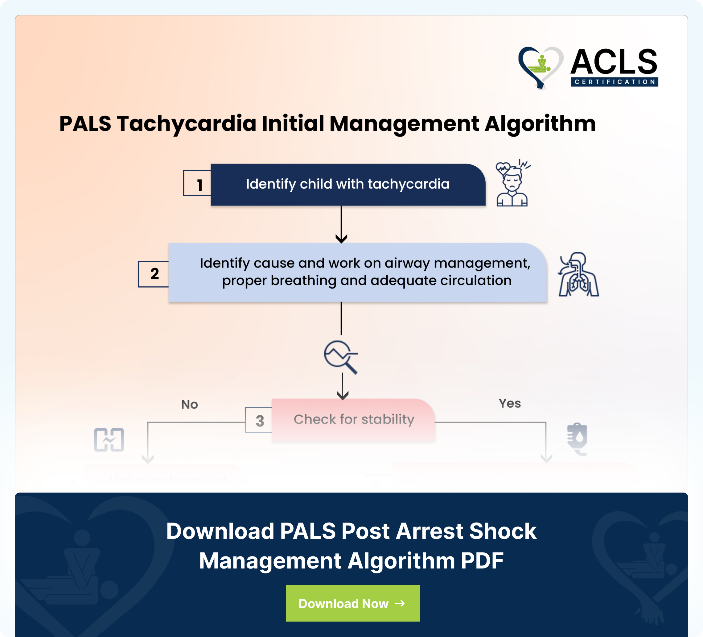 pals subalgo Tachycardia Initial Management Algorithm