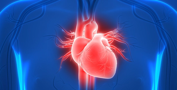 Aortic Sclerosis Is it Dangerous post img