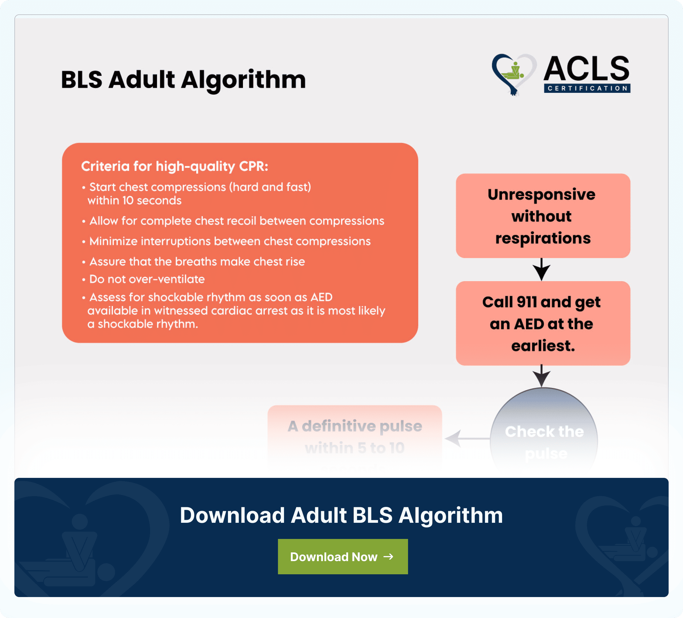 Adult BLS Algorithm - Basic Life Support Protocol for Healthcare