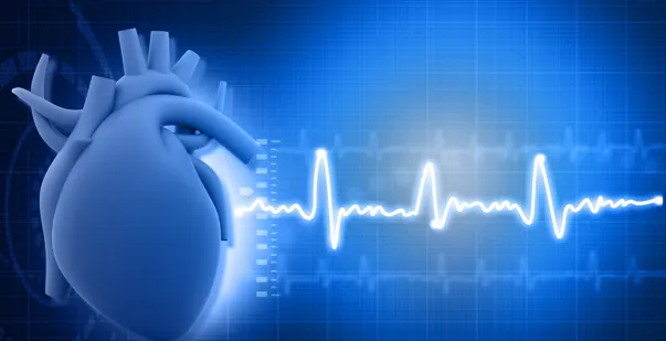 Normal vs Dangerous Heart Rate: An Overview