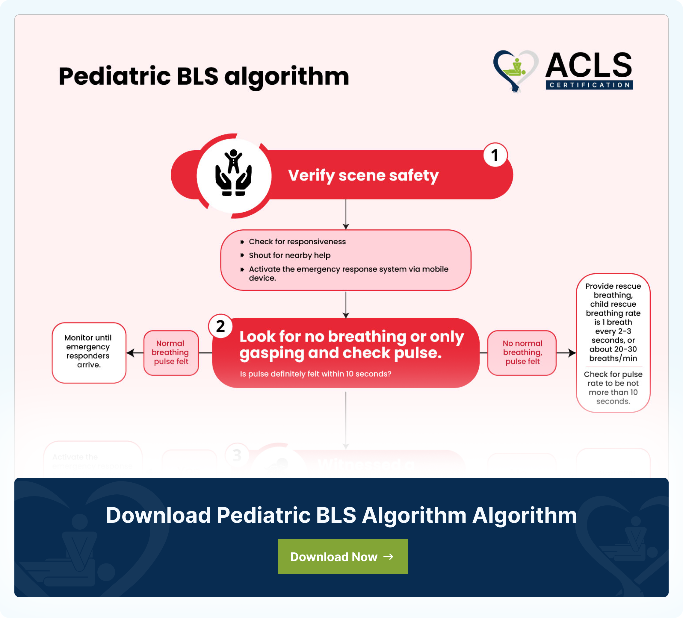 Pediatric BLS