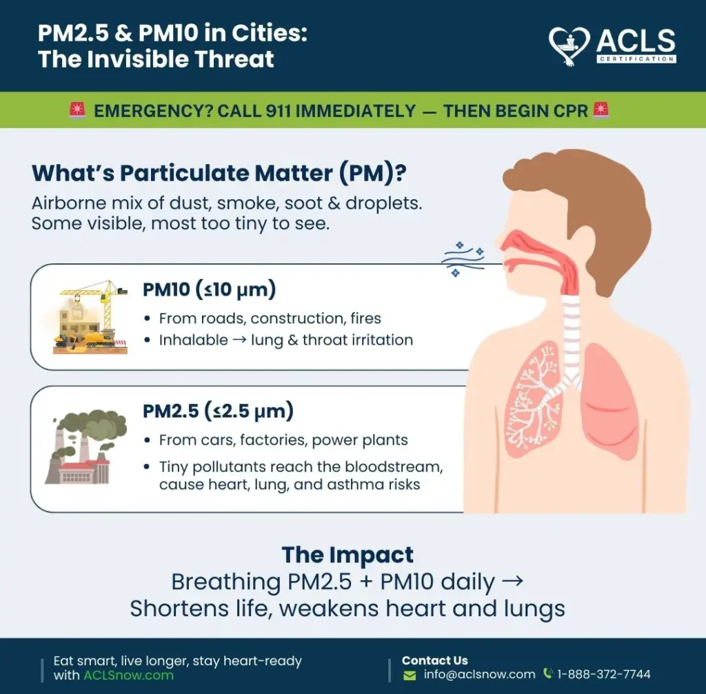 How Air Pollution Affects Your Heart